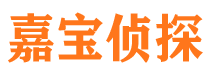 武进市调查公司